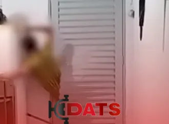 Invasor Fica Preso em Porta Durante Ataque à Residência da Ex-Companheira