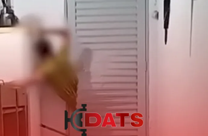 Invasor Fica Preso em Porta Durante Ataque à Residência da Ex-Companheira