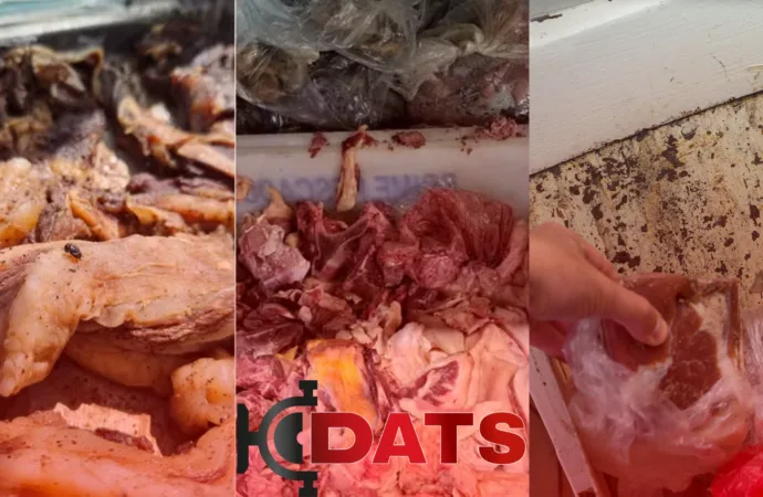 Procon flagra meia tonelada de carne estragada em mercado de Goiás