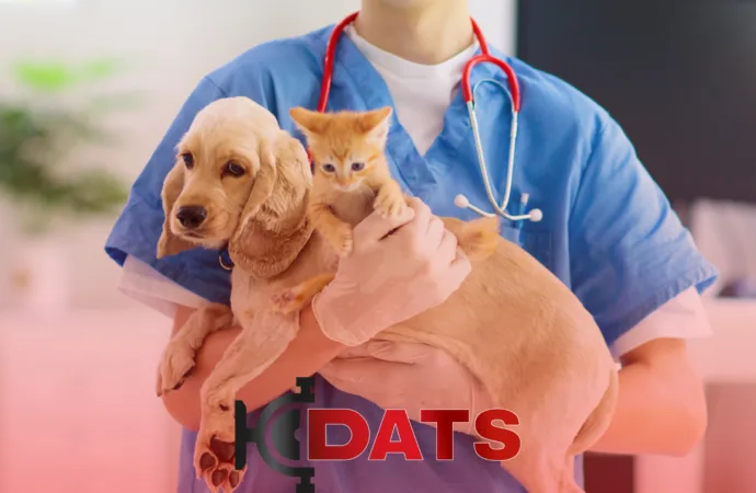 Cães e gatos podem ser doadores de sangue