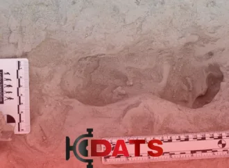 Descoberta revela coexistência de duas espécies humanas primitivas no Quênia