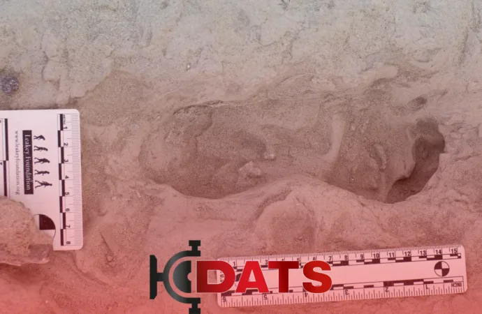 Descoberta revela coexistência de duas espécies humanas primitivas no Quênia