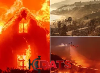 Devastação Contínua em Meio a uma Crise Ambiental