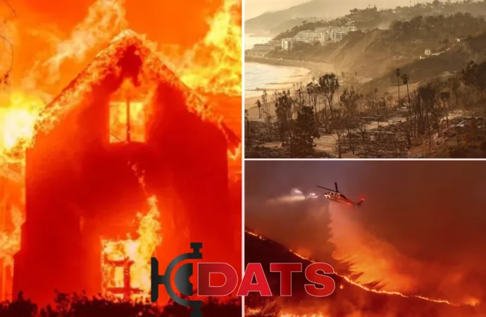 Devastação Contínua em Meio a uma Crise Ambiental