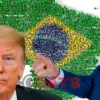 Como as Medidas de Trump Podem Redesenhar a Economia Brasileira
