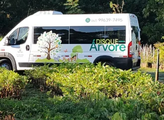 Goiânia tem distribuição gratuita de árvores