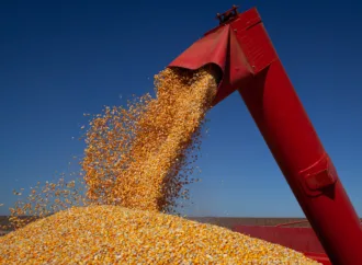 Goiás já tem previsão de números posivivos para safra