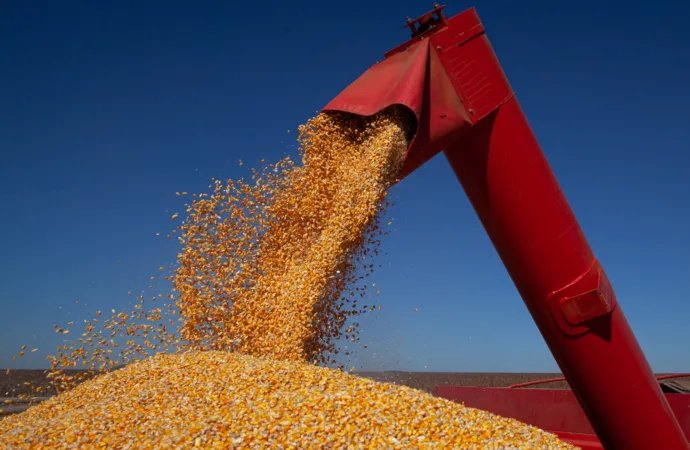 Goiás já tem previsão de números posivivos para safra