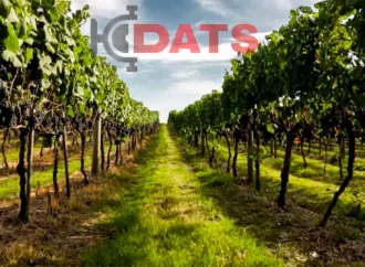 Um Caminho Europeu está Salvando Produtores Brasileiros