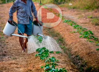 Como o Bolsa Família Preveniu o Êxodo Rural