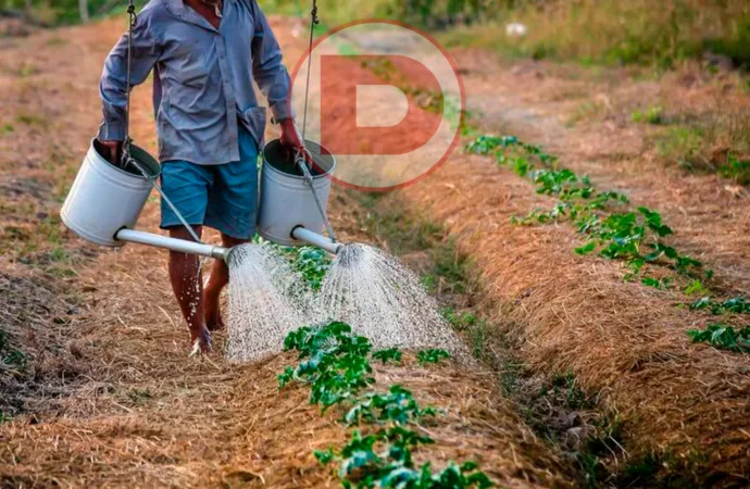 Como o Bolsa Família Preveniu o Êxodo Rural