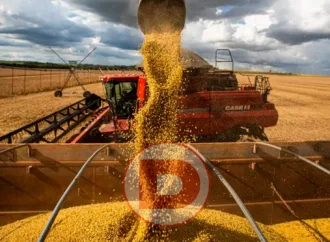 Produtores Questionam Eficácia de Ações do Governo Contra a Alta de Alimentos