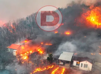 Incêndios Deixam Rastro de Devastação e Morte na Coreia do Sul