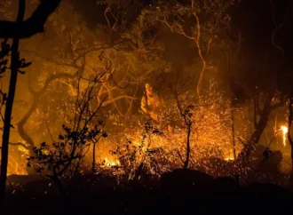 Mais de R$ 1 milhão investidos em prevenção de incêndios no Cerrado