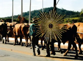 Museu de Arte de Goiânia inaugura exposição “Encantamentos”