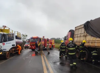 Carreta carregada com soja pega fogo na BR-452 em Itumbiara e causa bloqueio temporário