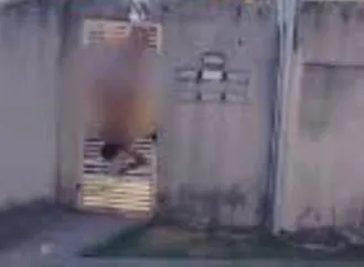 Homem fica pendurado pelas calças em muro de condomínio em Águas Lindas