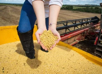 PIB de Goiás cresce 7,7% no acumulado do ano em 2025
