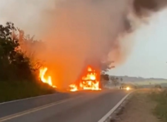 Caminhão incendeia e é destruído na GO-305 entre Cumari e Anhanguera