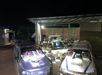 Polícia estoura fabrica de agrotóxicos e apreende 1,6 toneladas de defensivos chineses em Goiás