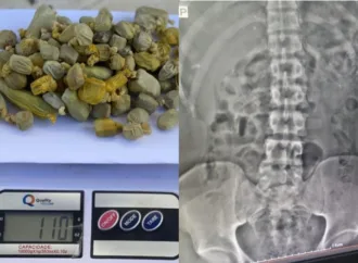 Mecânico é flagrado com drogas no estômago após ser preso de propósito em Goiás