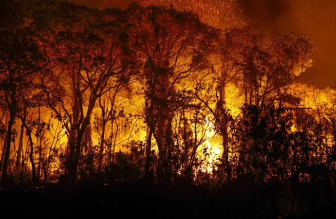 Uso de fogo em vegetação é suspenso em Goiás