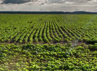 FCO Rural ultrapassa R$ 1 bilhão em financiamentos aprovados em 2025