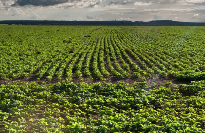 FCO Rural ultrapassa R$ 1 bilhão em financiamentos aprovados em 2025