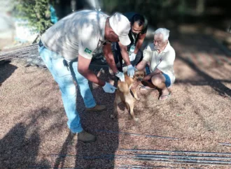 Prefeitura inicia Campanha de Vacinação Antirrábica