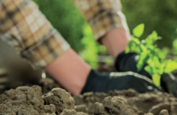 Programa que remunera produtores que preservam o Cerrado contempla 16 mil hectares no 1º ano