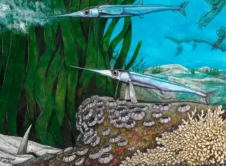 Cientistas brasileiros identificam nova espécie de peixe pré-histórico