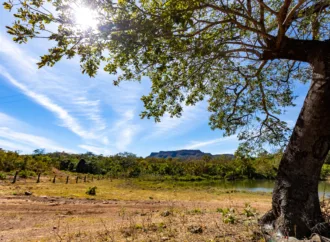 Goiás remunera produtores rurais que preservam o cerrado