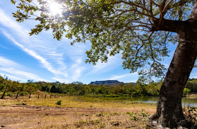 Goiás remunera produtores rurais que preservam o cerrado